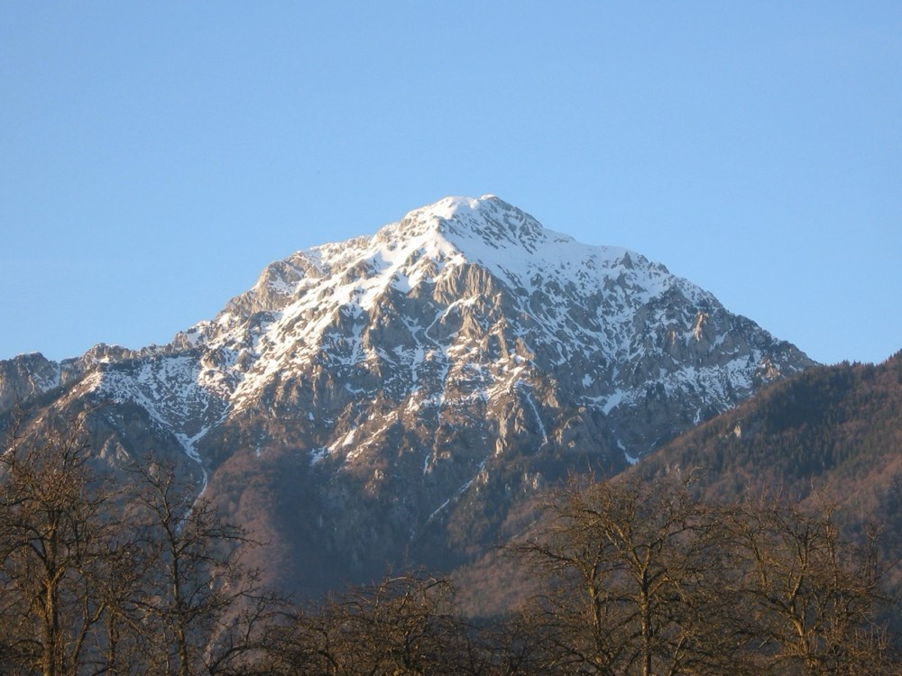 Zima